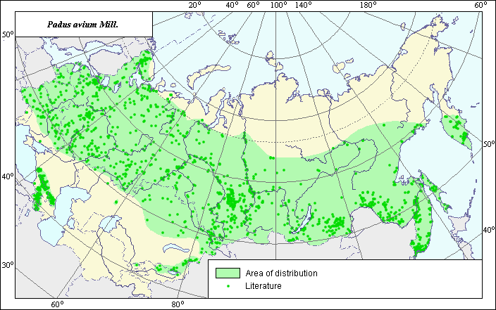 Карта наша среда